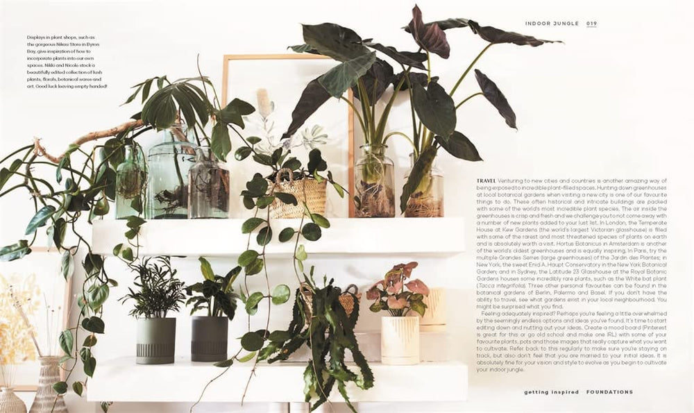 rainforest indoor plants Indoor Jungle – Fern Shop Cincinnati