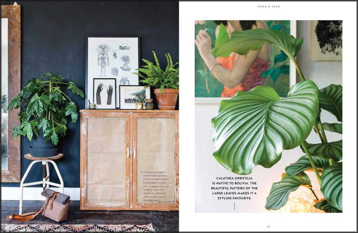 Urban Jungle: Living and Styling with Plants – Fern Shop Cincinnati