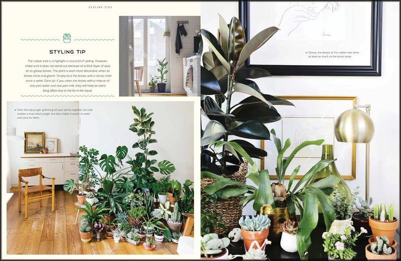 urban jungle house plants Urban Jungle: Living and Styling with Plants