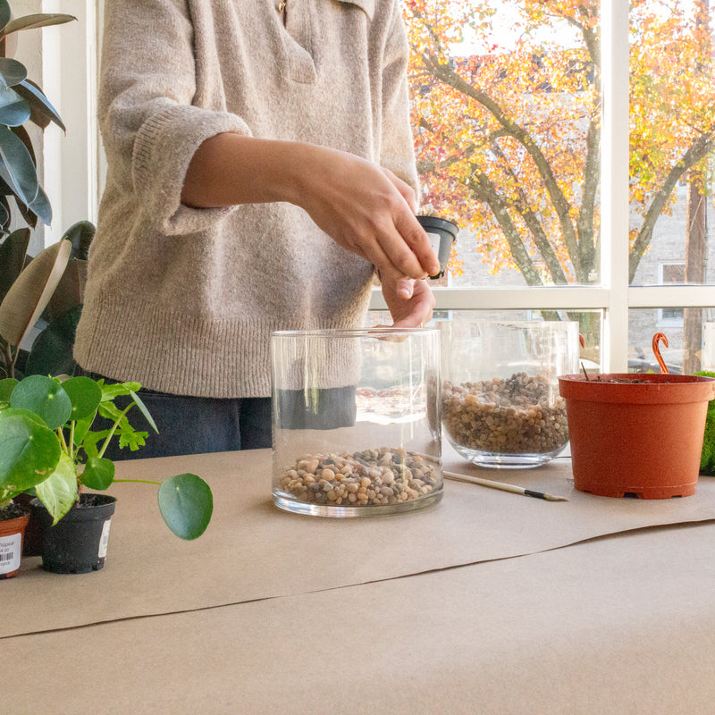 Mini Terrarium Workshop - August