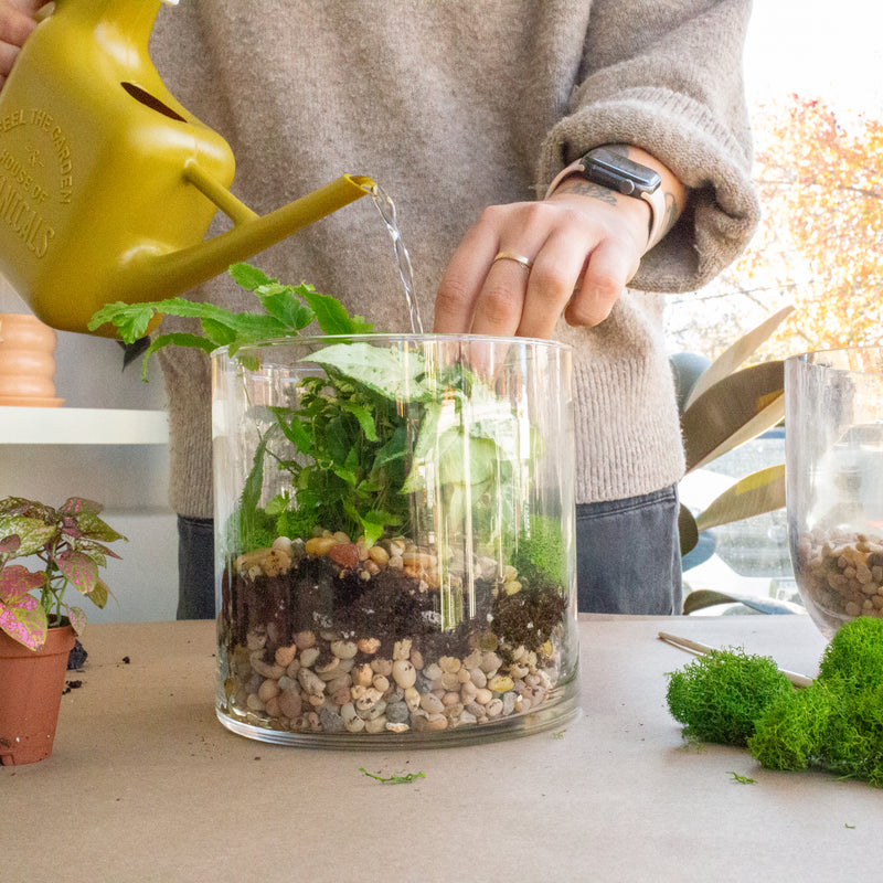 Mini Terrarium Workshop - August