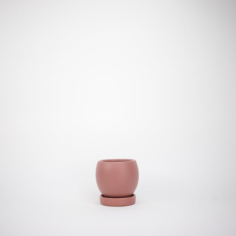 Bolle Planter - Dusty Rose