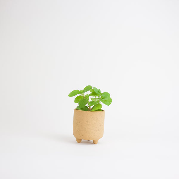 Small Square Footed Planter - Speckled Tan