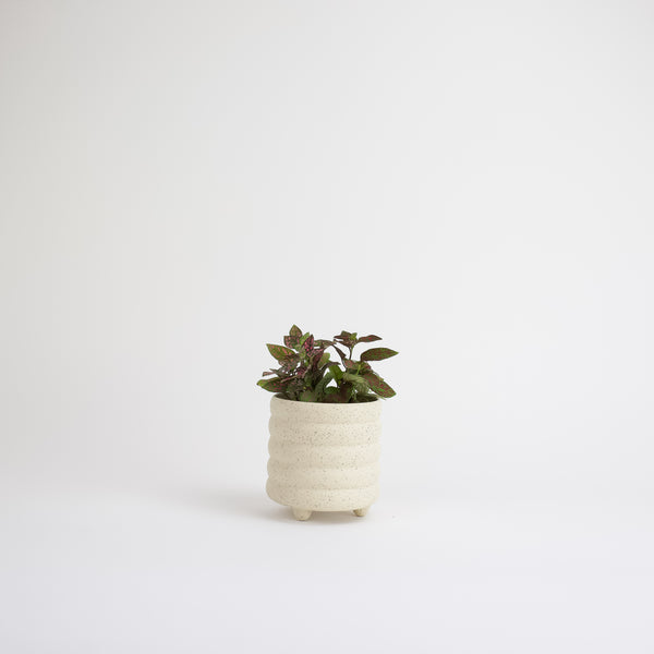 Bumby Footed Planter 3in - Speckled Cream