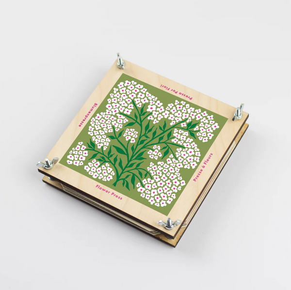 Flower Press- forget me not