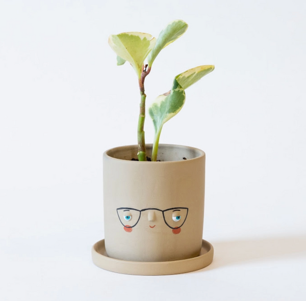 Four-Eyes Facplanter, Sand- Medium