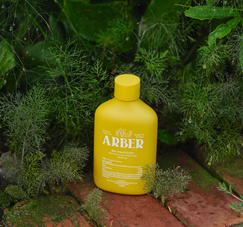 Arber Insecticide 8oz