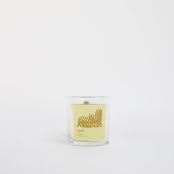 Larch - 8oz. Candle *new*