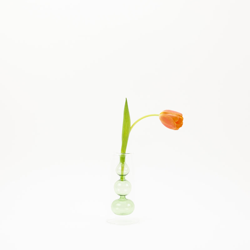 Nordic Hydroponic Colored Glass Vase - green