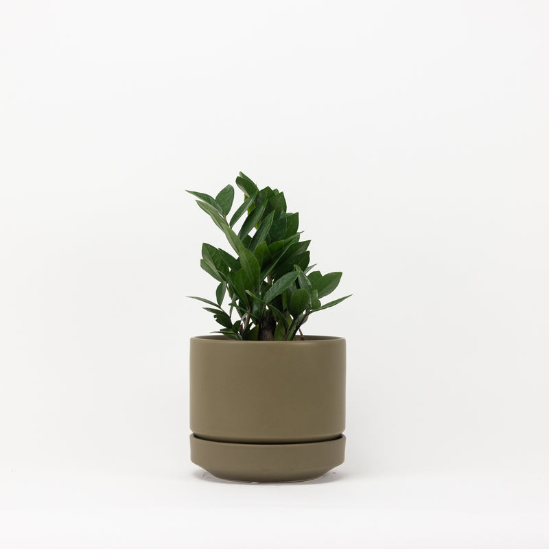 Round Two Planter - Olive