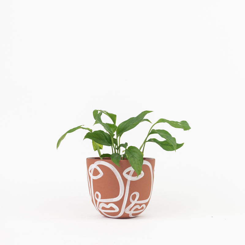 Cara Planter - Terracotta