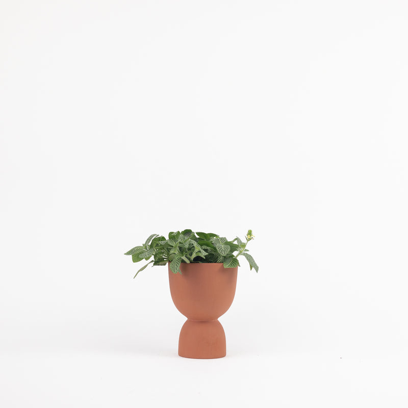 Stacked Planter - Terracotta