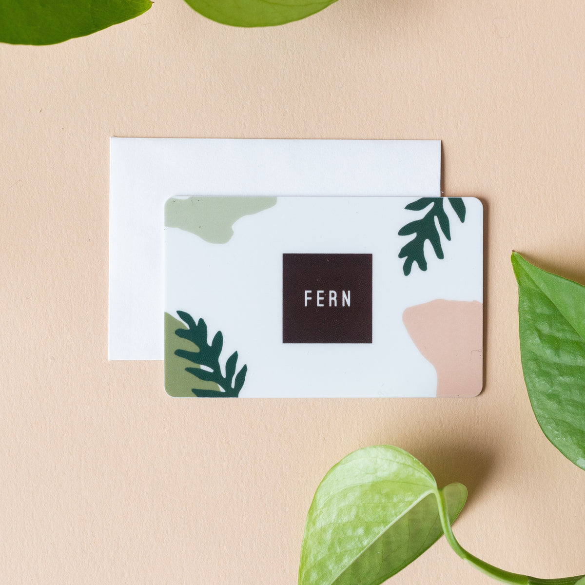 Fern