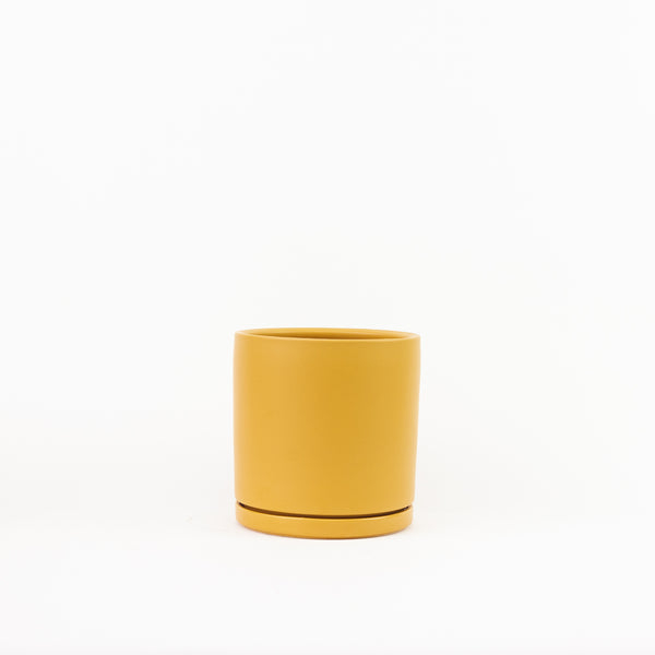 Gemstone Cylinder Planter - Mustard