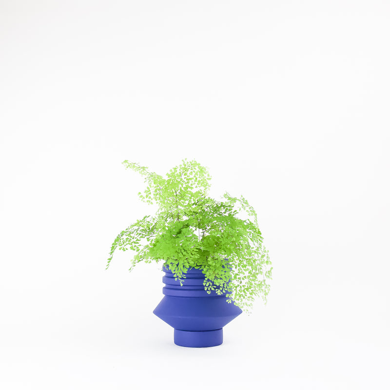Strata Plant Vessel - Blue