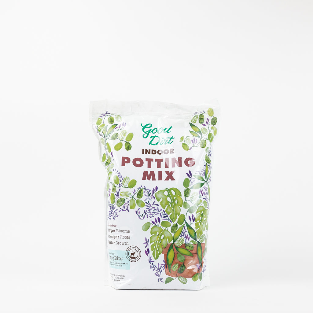 Indoor Potting Soil Mix