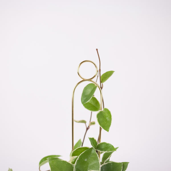 Mini Plant Stake - Pompom