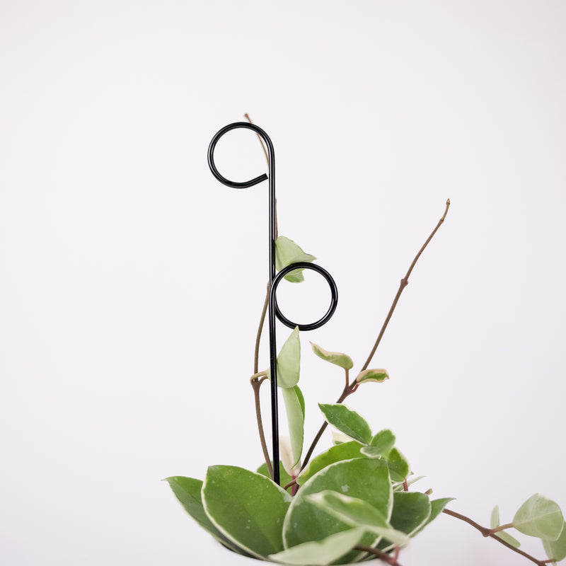 Mini Plant Stake - Perch