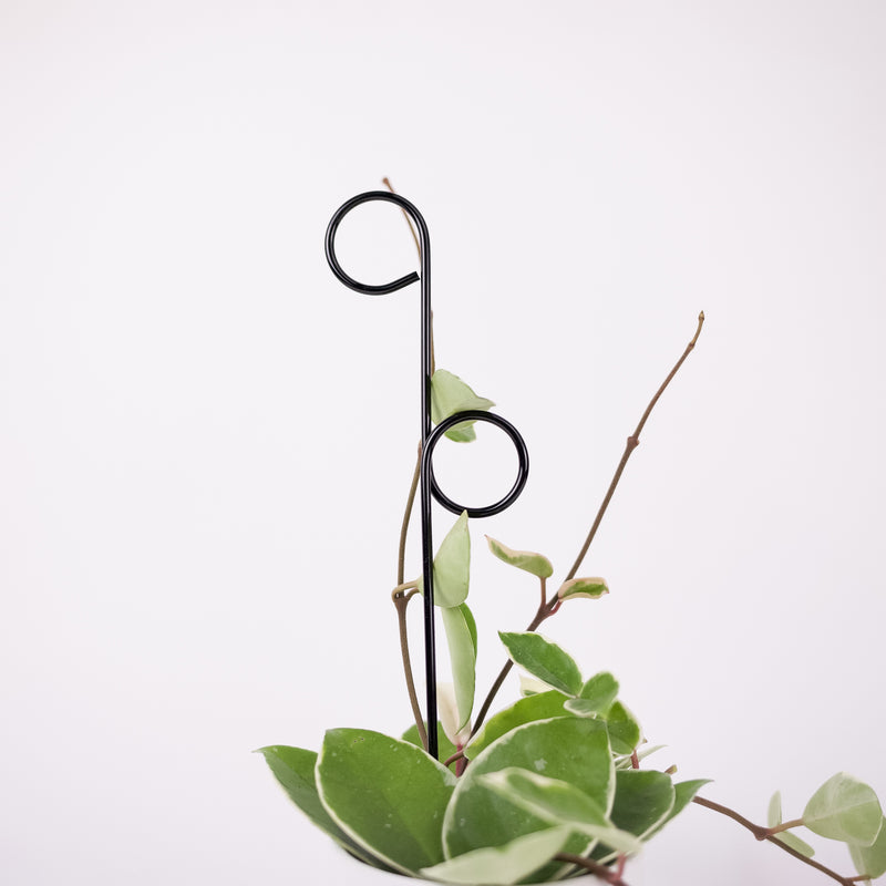 hanging plant stake Mini Plant Stake