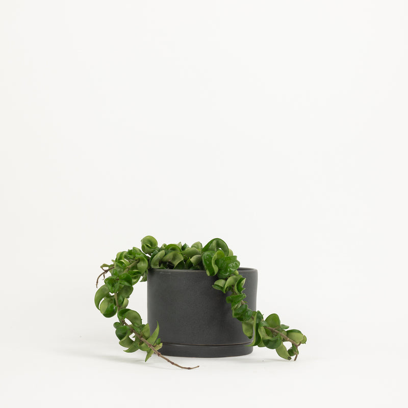 Tabletop Planter - Charcoal